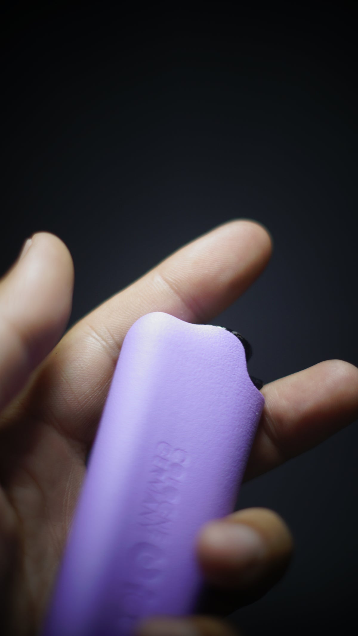 BIGFOOT - 3-in-1 Clipper, Joint & Stash Case